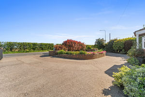 Photo 43- click for photo gallery